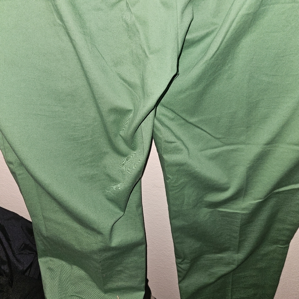 Lands End Womans Green Mid Rise Slim Leg Pants Size 16T - Picture 11 of 13
